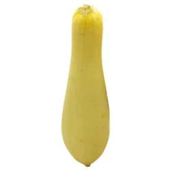 Organic Yellow Squash