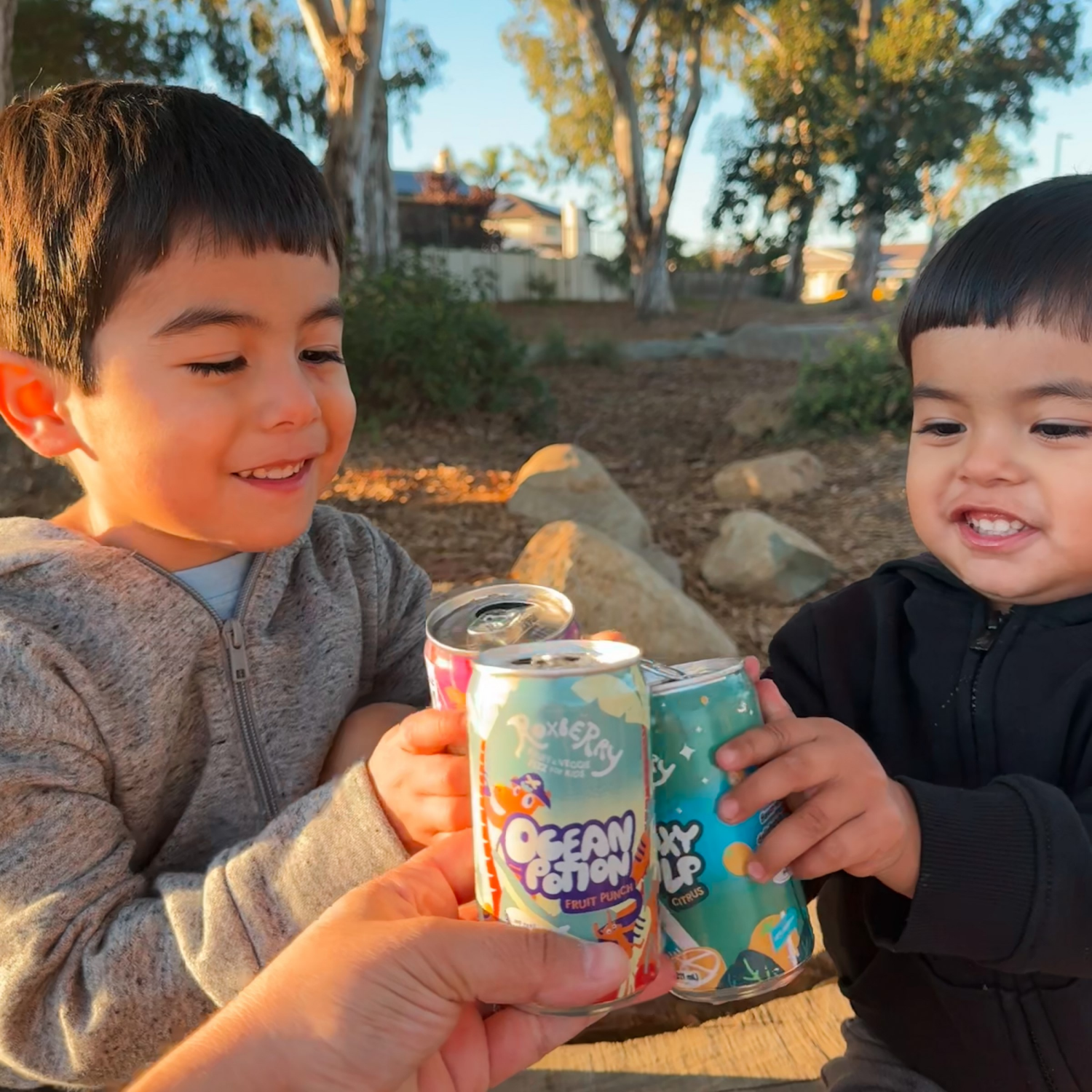 slide 7 of 8, Roxberry, 1 ct