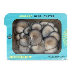 Hedgehog Organic Blue Oyster Mushrooms