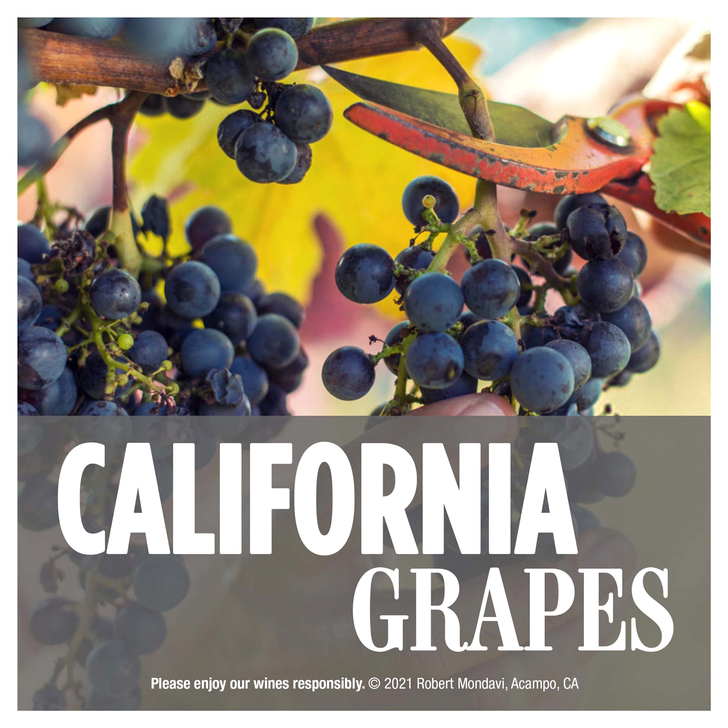 slide 5 of 5, Robert Mondavi Private Selection California Cabernet Sauvignon 750 ml, 750 ml