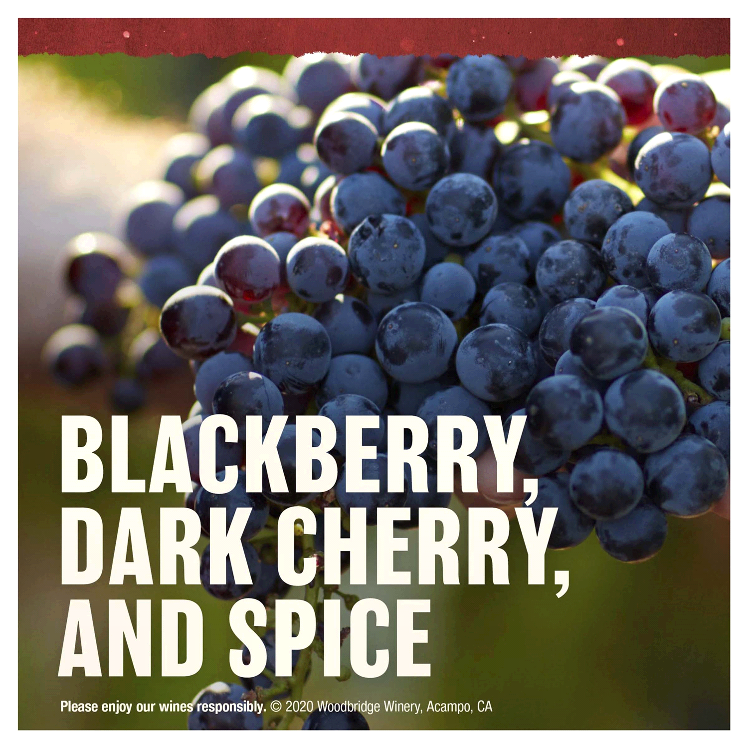 slide 3 of 5, Woodbridge by Robert Mondavi Cabernet Sauvignon Red Wine, 1.5 l