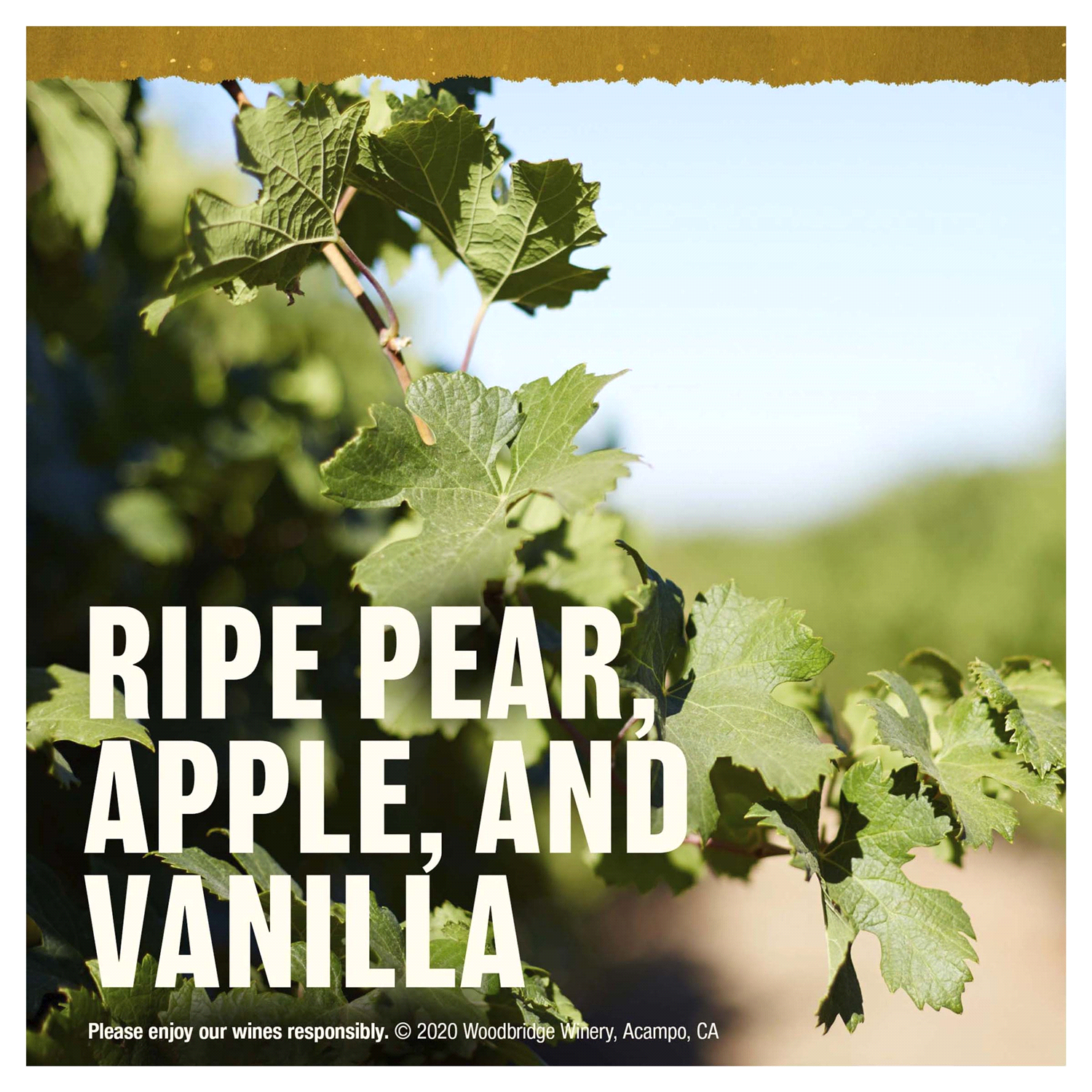 slide 3 of 5, Woodbridge by Robert Mondavi Chardonnay White Wine, 1.5 l