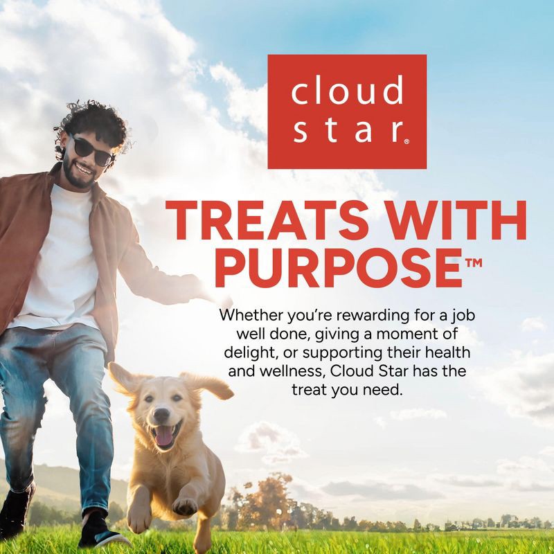 slide 11 of 11, Buddy Biscuits Trainers Training Bites Beef Flavored Chewy Dog Treats - 10oz, 10 oz