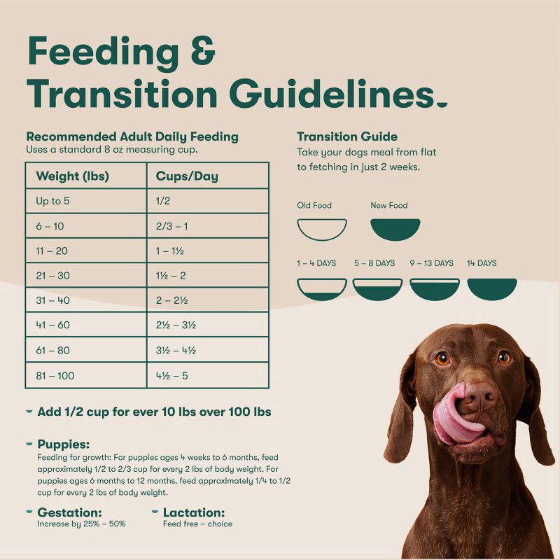 slide 6 of 11, Jinx Grain-Free Dry Dog Food with Chicken, Sweet Potato & Carrot Flavor - 11.5lbs, 11.5 lb