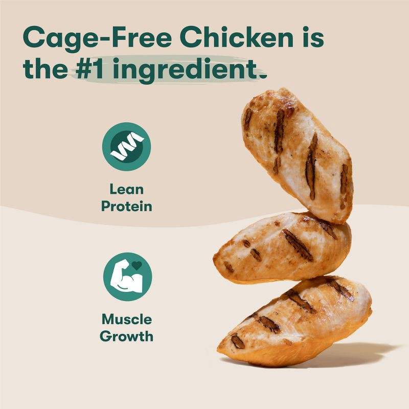 slide 2 of 11, Jinx Grain-Free Dry Dog Food with Chicken, Sweet Potato & Carrot Flavor - 4lbs, 4 lb