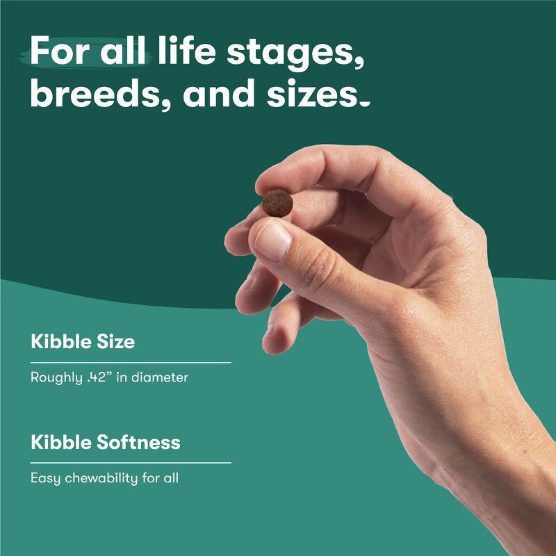 slide 9 of 11, Jinx Dry Dog Food with Salmon, Brown Rice & Sweet Potato - 4lbs, 4 lb