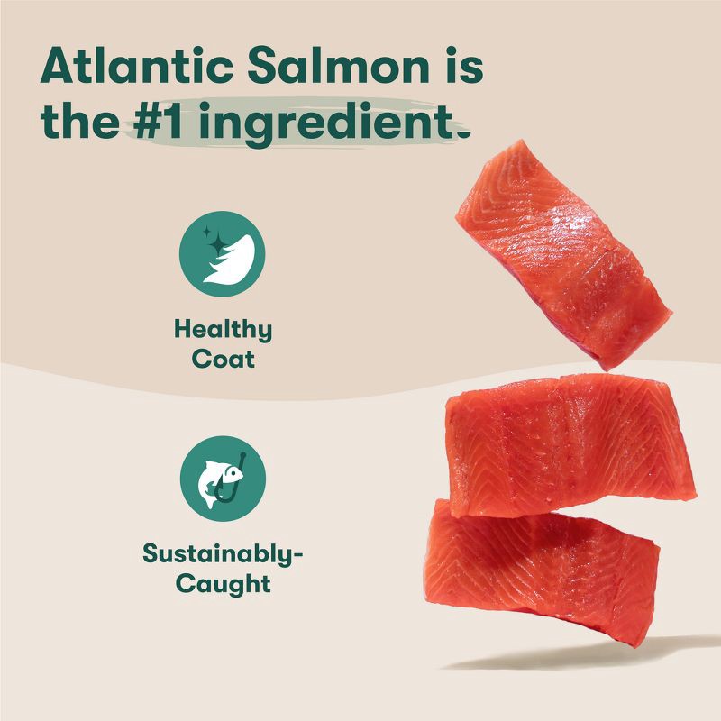 slide 2 of 11, Jinx Dry Dog Food with Salmon, Brown Rice & Sweet Potato - 11.5lbs, 11.5 lb