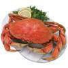 slide 1 of 1, Crab Dungeness Whole Cooked Fresh, per lb