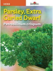 Burpee Herb Parsley Extra Curled Dwarf Seeds