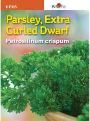 Burpee Herb Parsley Extra Curled Dwarf Seeds
