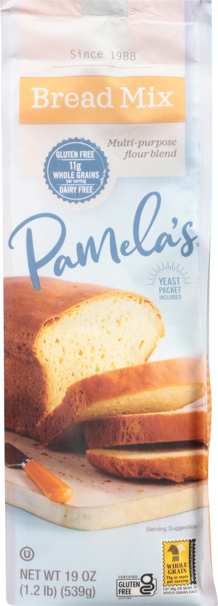 slide 3 of 9, Pamela's Bread Mix 19 oz, 19 oz