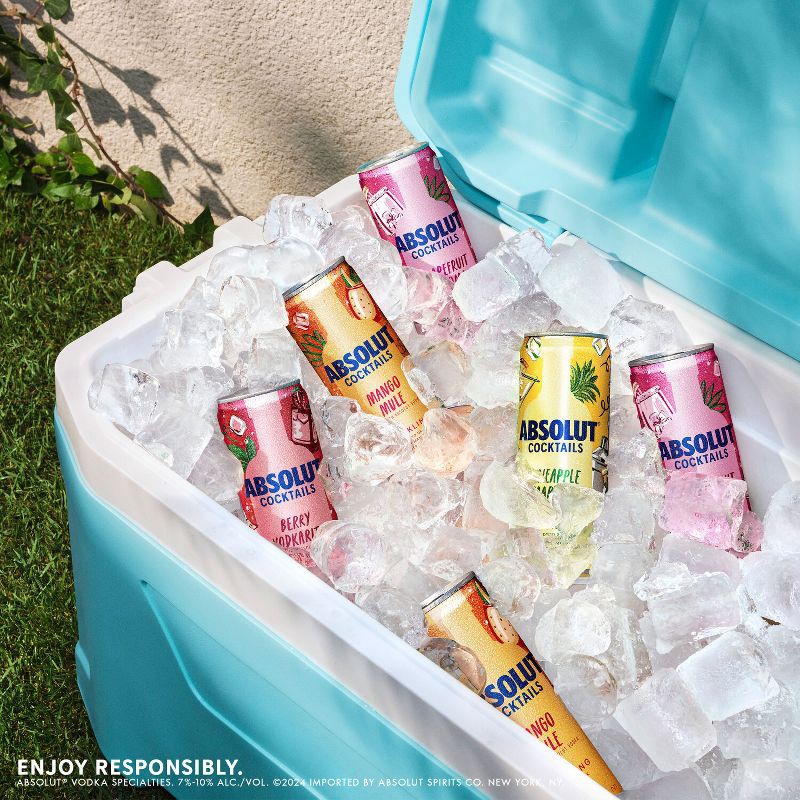 slide 4 of 7, Absolut Variety Pack- 8pk/355ml Cans, 8 ct, 355 ml