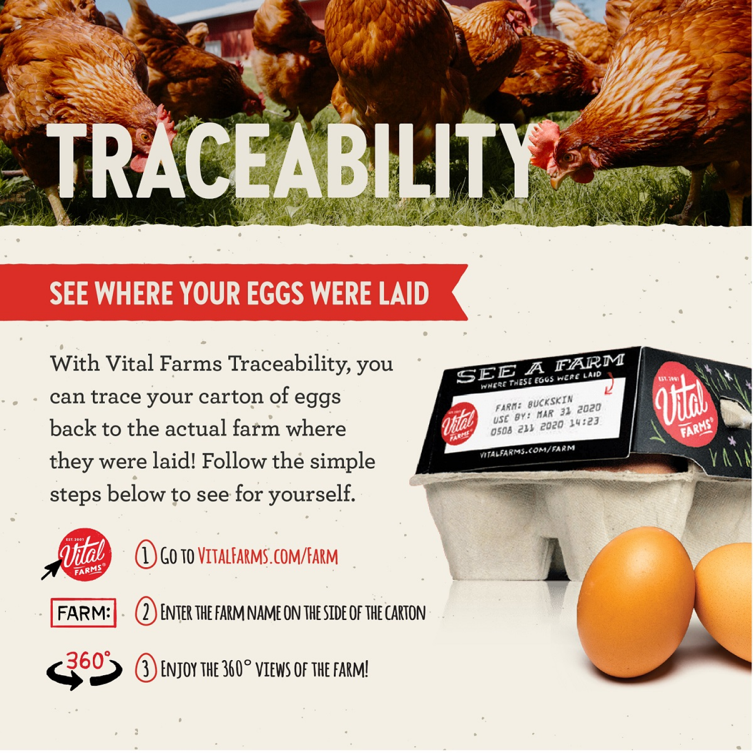 slide 7 of 7, Vital Farms Large Pasture-Raised Eggs 12 ea, 12 ct