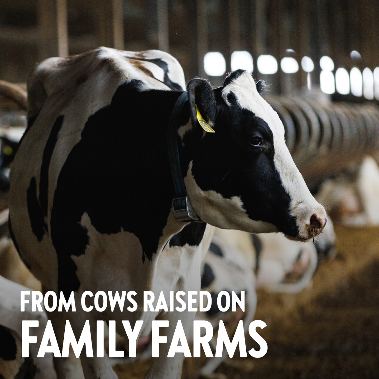 slide 5 of 5, Vital Farms Salted Butter 2 - 0.25 lb Sticks, 2 ct