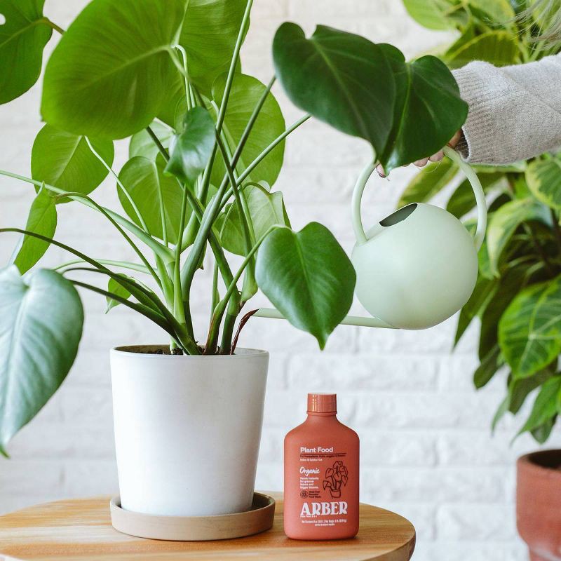 slide 7 of 8, Arber 8oz Organic Plant Food Concentrate: All-Season Nutrient Mix, Patio & Lawn Care, 3-2-1 NPK, 100 sq ft Coverage, 8 oz, 100 sq ft