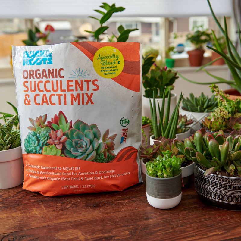 slide 2 of 11, Back to the Roots 6qt Organic Succulents & Cacti Mix Specialty Blend: Fast Draining, pH Balanced, 6 qt