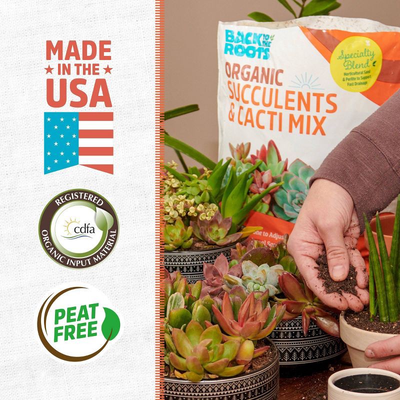 slide 4 of 11, Back to the Roots 6qt Organic Succulents & Cacti Mix Specialty Blend: Fast Draining, pH Balanced, 6 qt