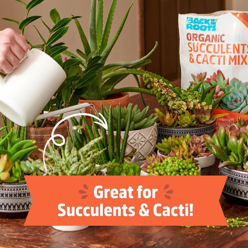 slide 5 of 11, Back to the Roots 6qt Organic Succulents & Cacti Mix Specialty Blend: Fast Draining, pH Balanced, 6 qt
