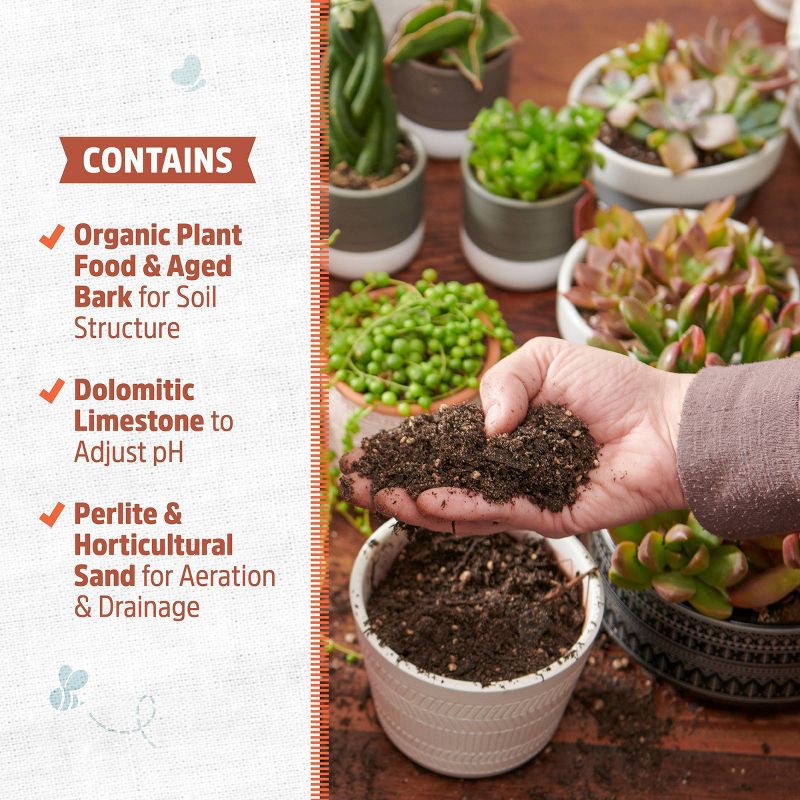 slide 6 of 11, Back to the Roots 6qt Organic Succulents & Cacti Mix Specialty Blend: Fast Draining, pH Balanced, 6 qt
