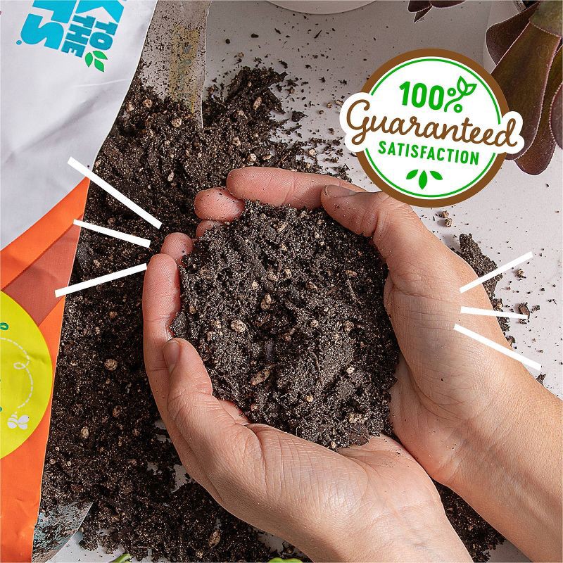 slide 7 of 11, Back to the Roots 6qt Organic Succulents & Cacti Mix Specialty Blend: Fast Draining, pH Balanced, 6 qt