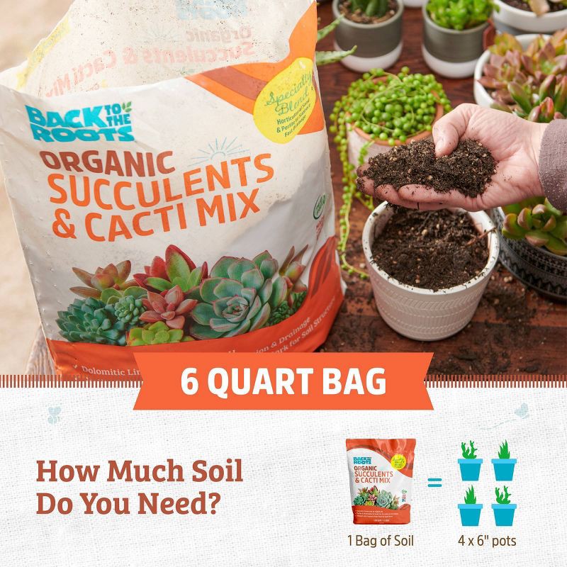 slide 11 of 11, Back to the Roots 6qt Organic Succulents & Cacti Mix Specialty Blend: Fast Draining, pH Balanced, 6 qt