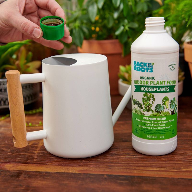 slide 2 of 14, Back to the Roots All Purpose Plant Food 16oz Liquid Fertilizer for Indoor & Outdoor Gardens, 16 oz