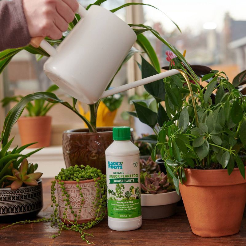 slide 10 of 14, Back to the Roots All Purpose Plant Food 16oz Liquid Fertilizer for Indoor & Outdoor Gardens, 16 oz