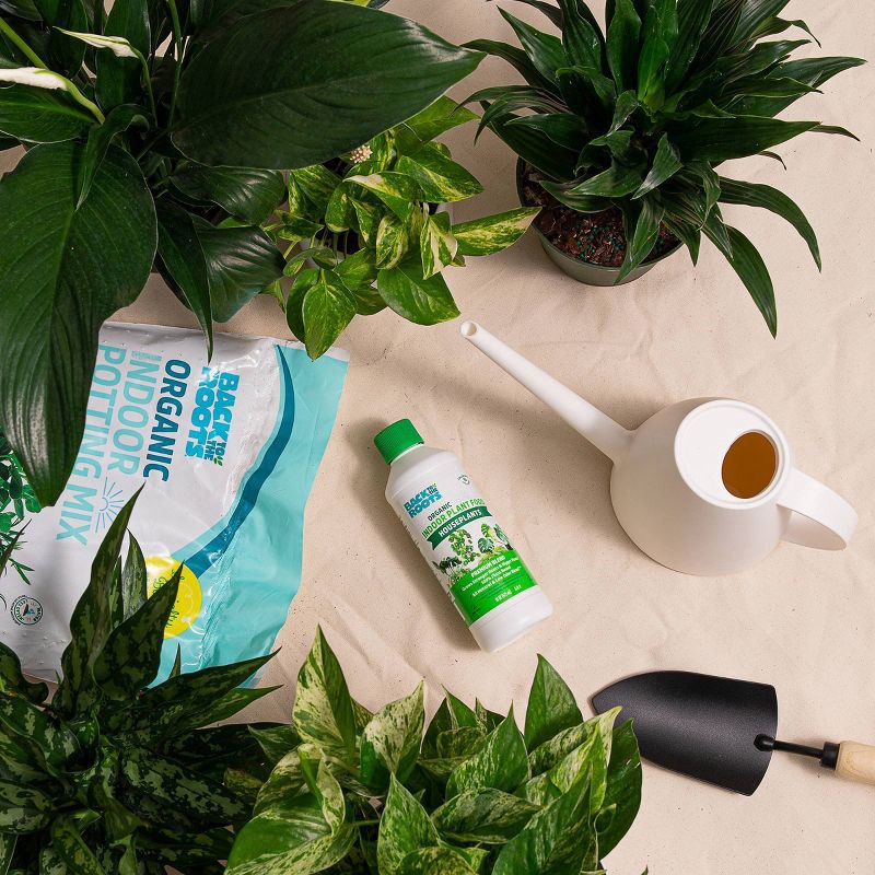 slide 11 of 14, Back to the Roots All Purpose Plant Food 16oz Liquid Fertilizer for Indoor & Outdoor Gardens, 16 oz