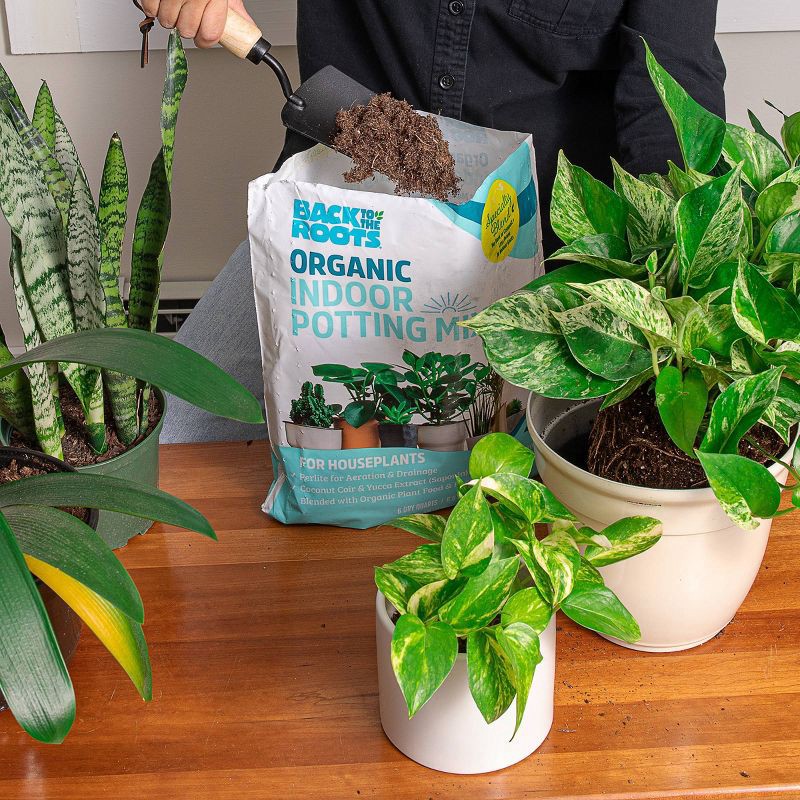 slide 2 of 13, Back to the Roots 6qt Organic Indoor Potting Mix For Houseplants Specialty Mix: Perlite, Coconut Coir, Mycorrhizae, 6 qt