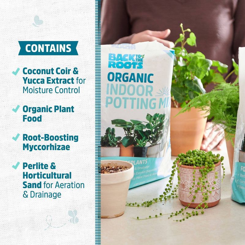 slide 6 of 13, Back to the Roots 6qt Organic Indoor Potting Mix For Houseplants Specialty Mix: Perlite, Coconut Coir, Mycorrhizae, 6 qt