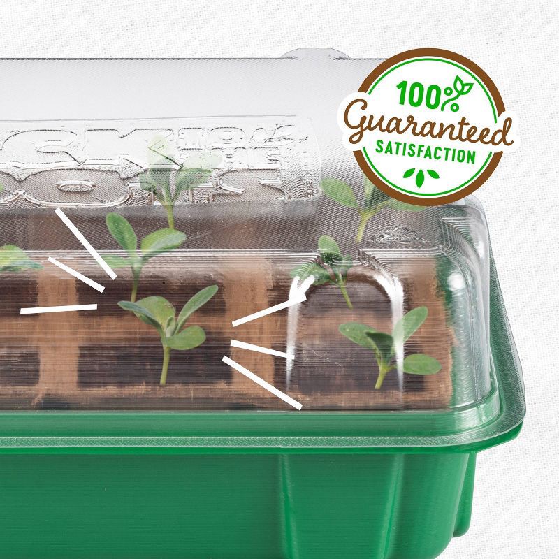 slide 7 of 11, Back to the Roots Organic & Plantable Greenhouse Germination Kit 12 Cell, 1 ct