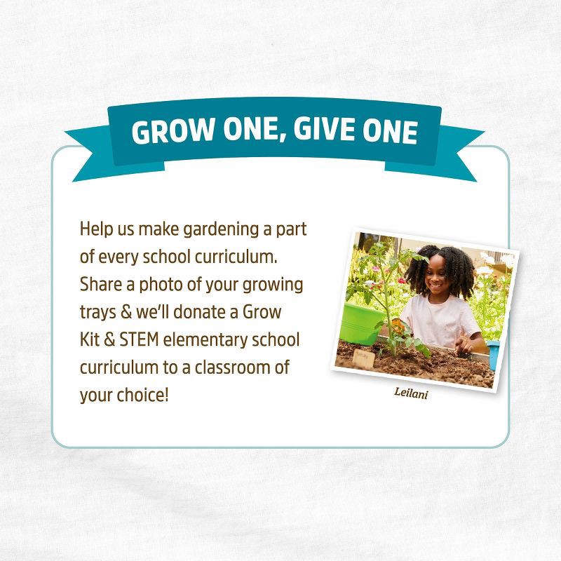 slide 11 of 11, Back to the Roots Organic & Plantable Greenhouse Germination Kit 12 Cell, 1 ct