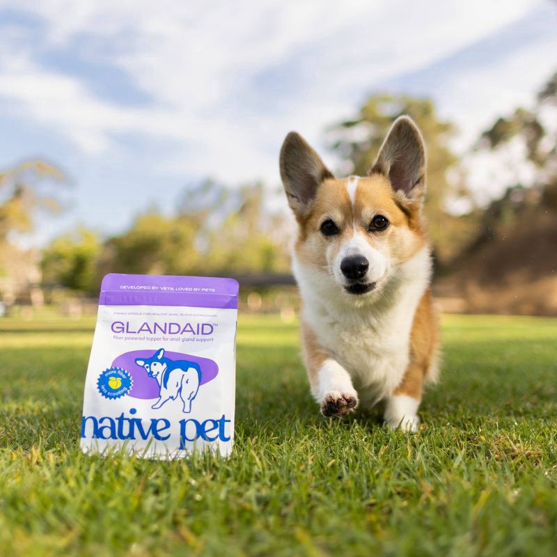 slide 5 of 5, Native Pet Glandaid Anal Gland Supplement with Pumpkin for Dogs - 16oz, 16 oz