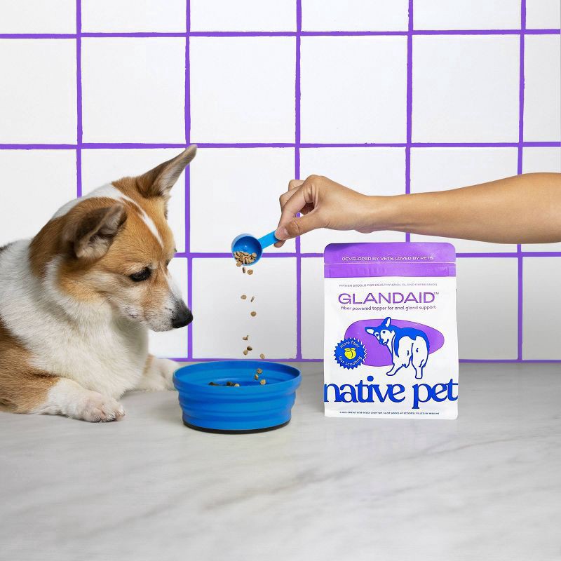 slide 2 of 5, Native Pet Glandaid Anal Gland Supplement with Pumpkin for Dogs - 16oz, 16 oz