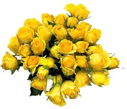 Bloom Haus Delight Rose Boquet - Yellow