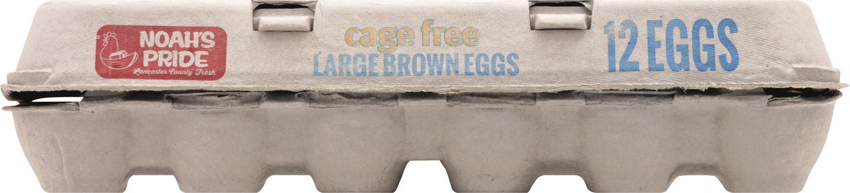 slide 2 of 13, Noah's Pride Cage Free Large Brown Eggs 12 ea, 12 ct