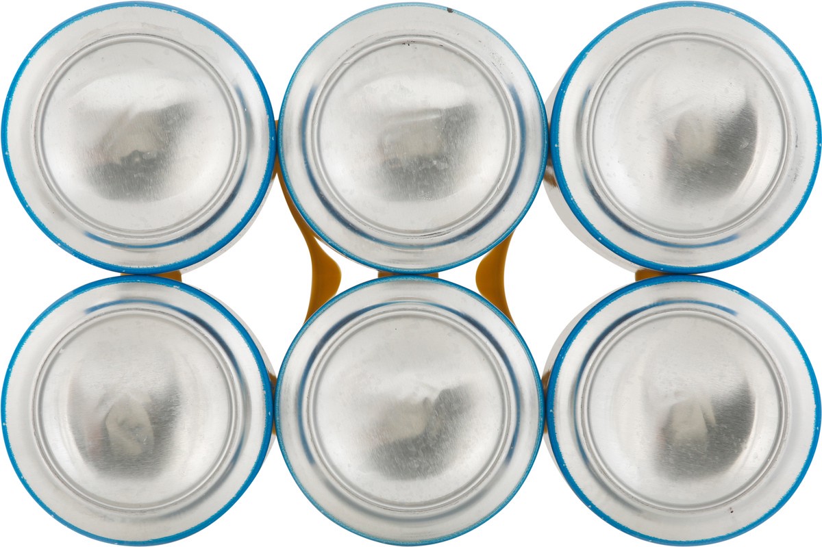 slide 11 of 12, Islamorada American Lager Go Fish Beer 6 - 12 fl oz Cans, 6 ct