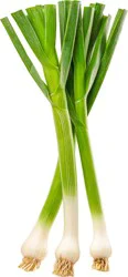 Organic Green Garlic