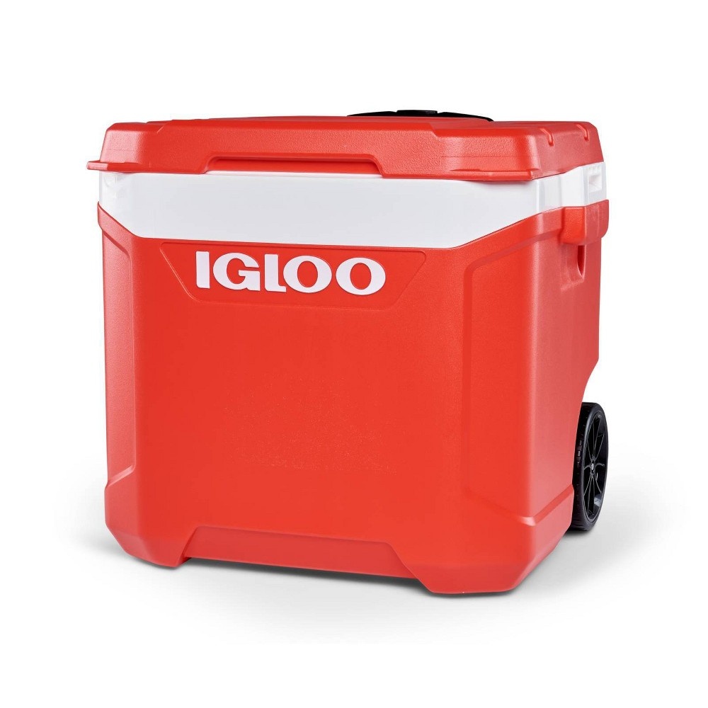 igloo 60 quart latitude roller cooler