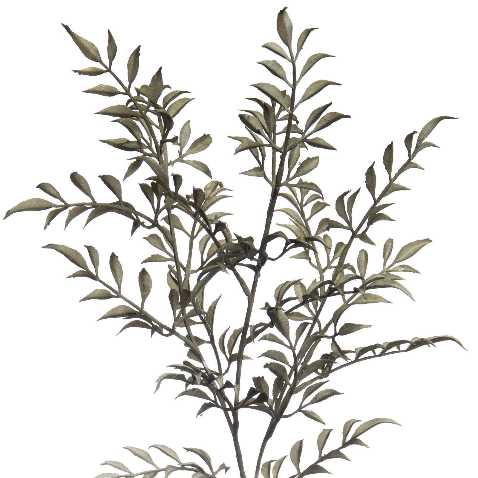 slide 2 of 3, Green Sharp Fern Stem By Ashland, 29.5 in