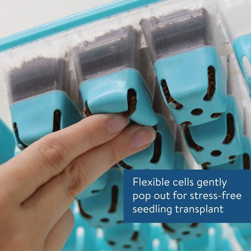 slide 2 of 7, Burpee 36 Cell SuperSeed Seed Starting Tray, 1 ct