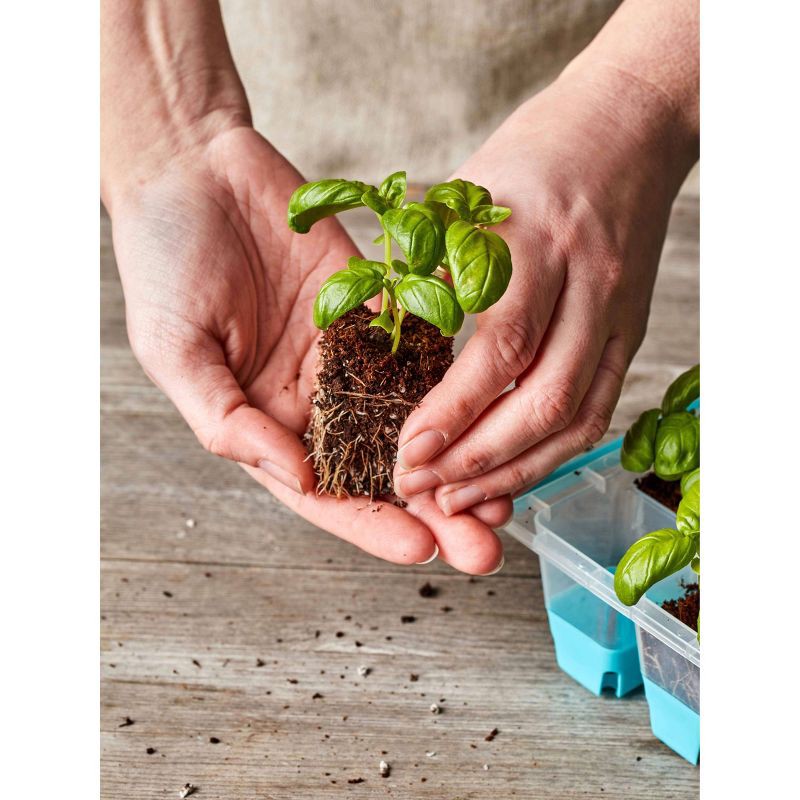 slide 5 of 7, Burpee 36 Cell SuperSeed Seed Starting Tray, 1 ct