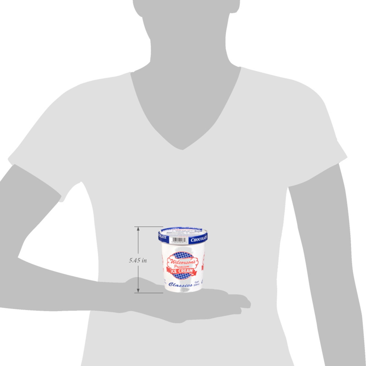 slide 3 of 15, Wilcoxson's Premium Chocolate Ice Cream 1 qt, 1 qt