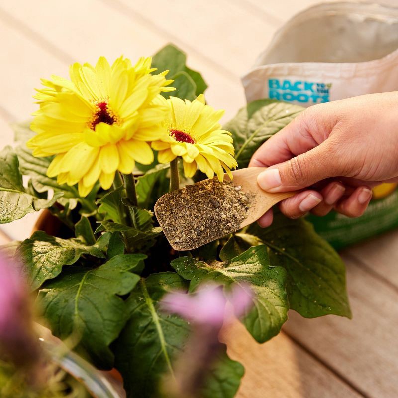 slide 7 of 7, Back to the Roots 1.5lb Organic Plant Food All Purpose Premium Blend: Nutrient-Rich for Indoor & Outdoor Gardens, Non-Synthetic, 1.5 lb