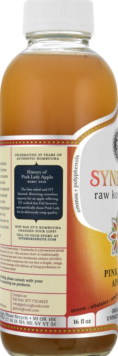 slide 3 of 13, GT's Synergy Raw Pink Lady Apple Kombucha 16 oz, 16 fl oz