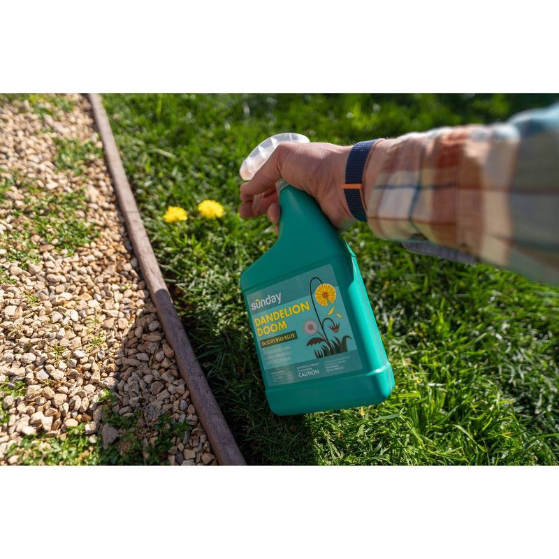 slide 4 of 7, Sunday 32oz Dandelion Doom Herbicide Spot Treatment, 32 oz
