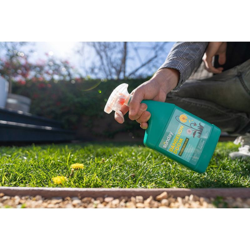 slide 7 of 7, Sunday 32oz Dandelion Doom Herbicide Spot Treatment, 32 oz
