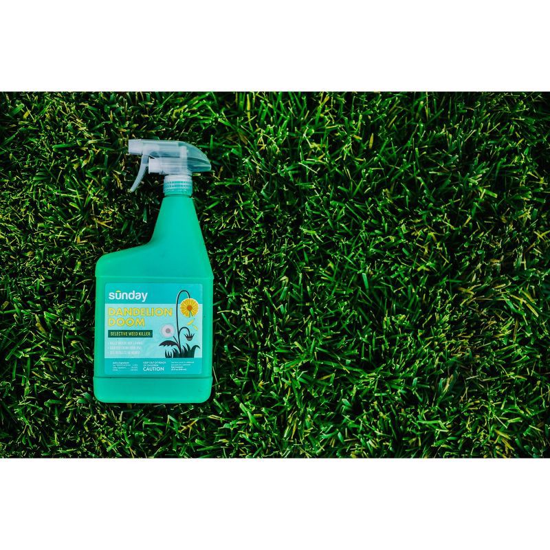 slide 6 of 7, Sunday 32oz Dandelion Doom Herbicide Spot Treatment, 32 oz