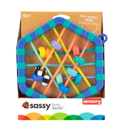 Sassy Busy Ball