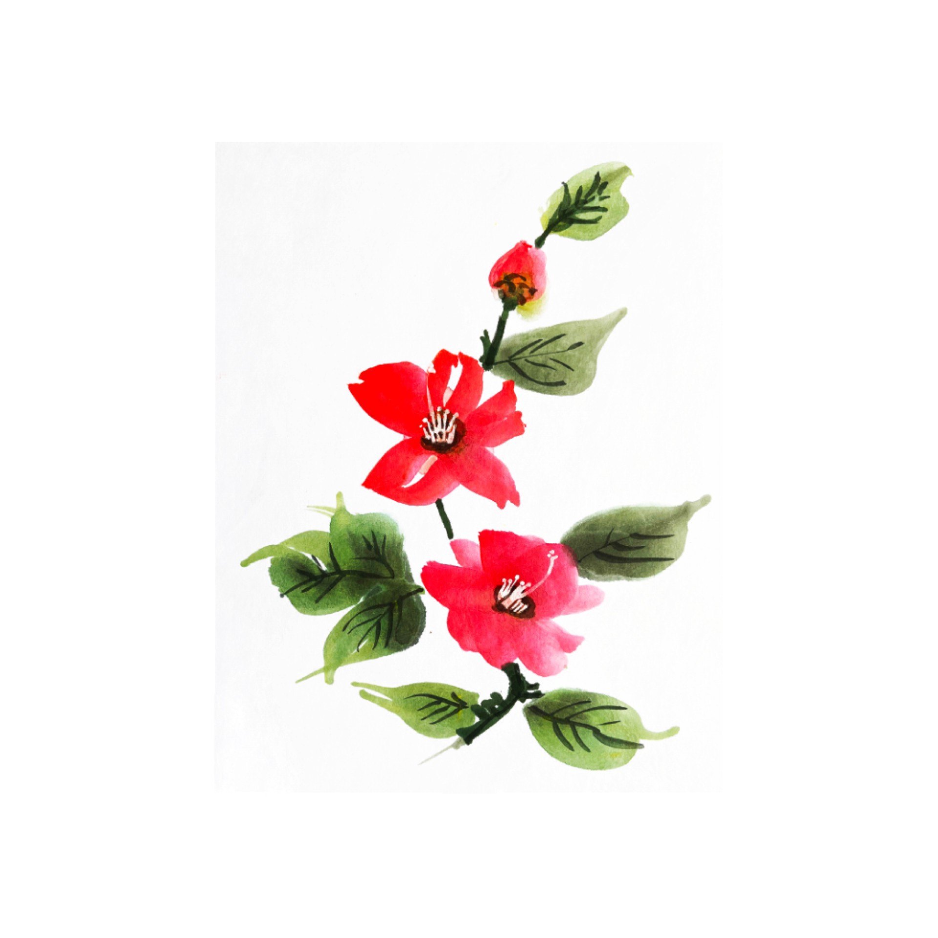 slide 4 of 5, Yasutomo Authentic Chinese Watercolors Set, 12 ml